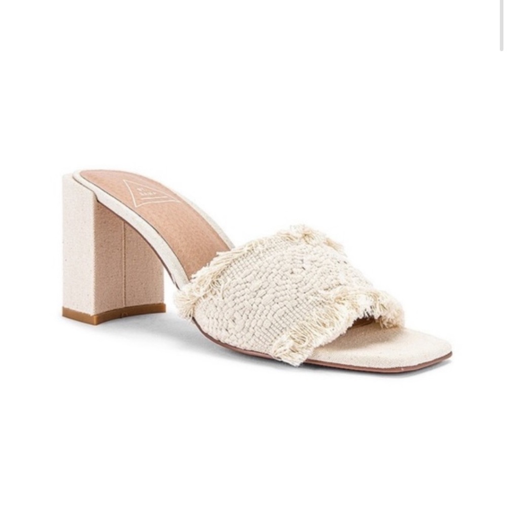 St. Sana Camila mule in natural